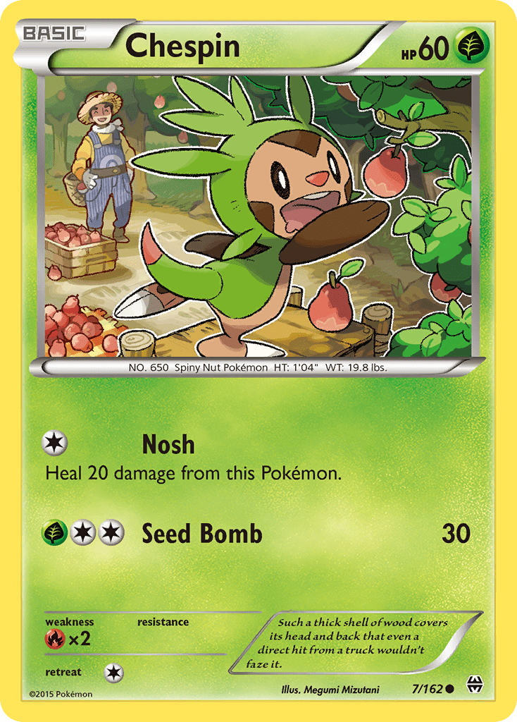 Chespin - 7