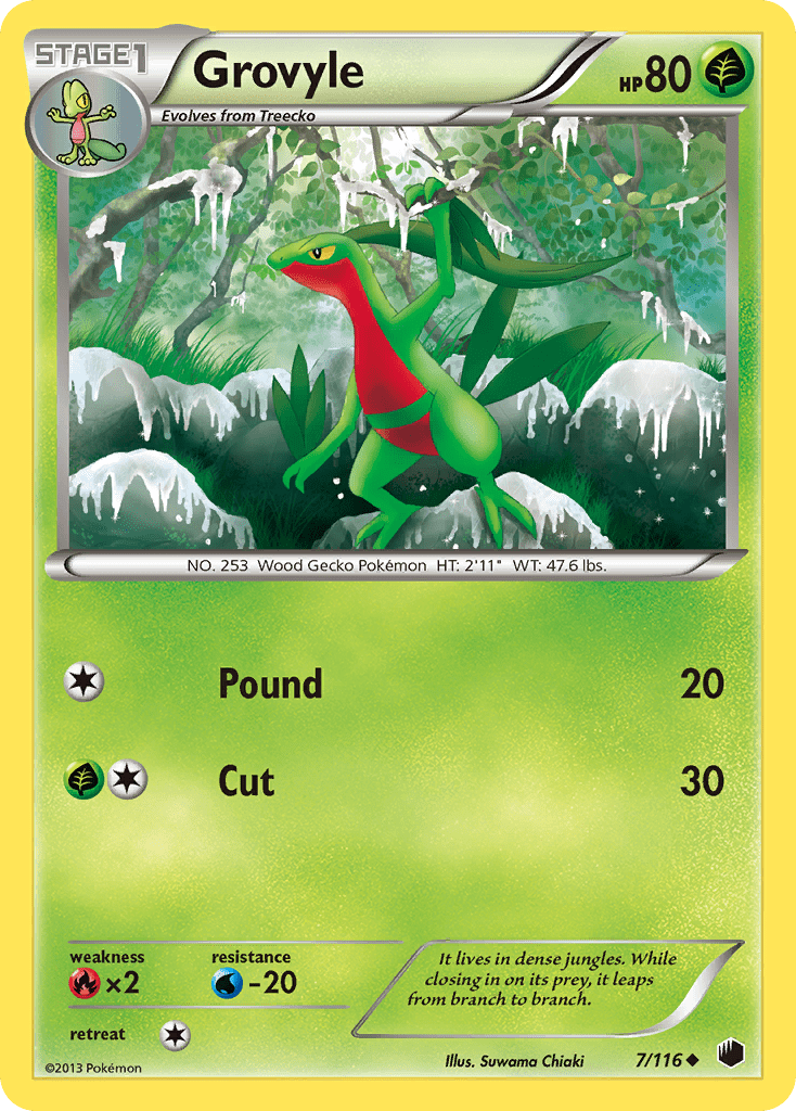Grovyle - 7
