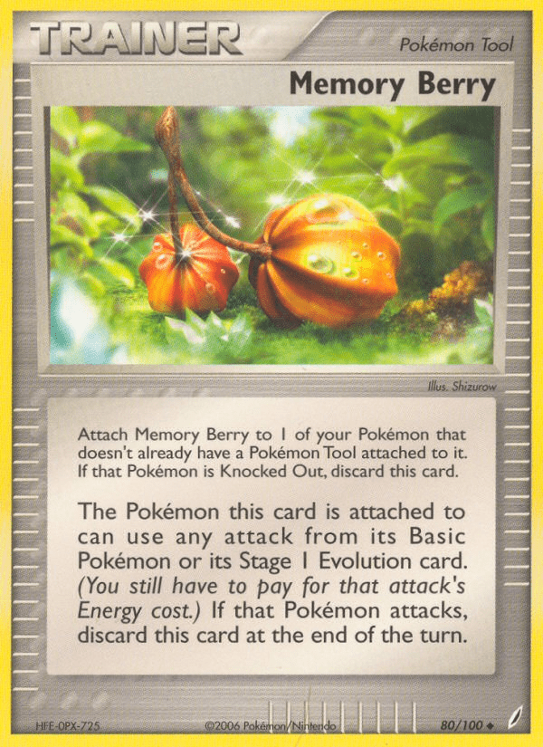 Memory Berry - 80