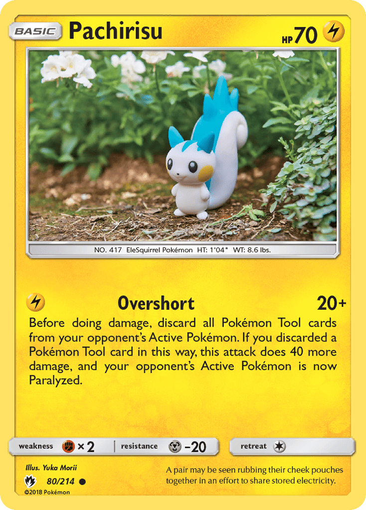 Pachirisu - 80
