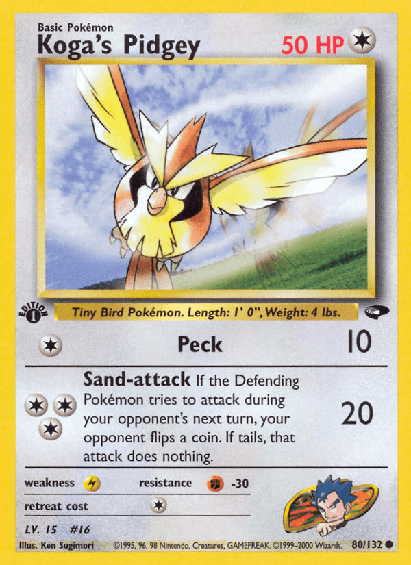 Koga's Pidgey - 80