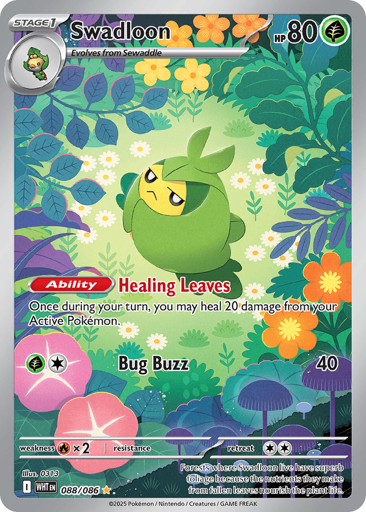 Swadloon - 88