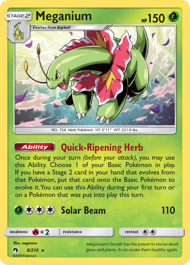 Meganium - 8