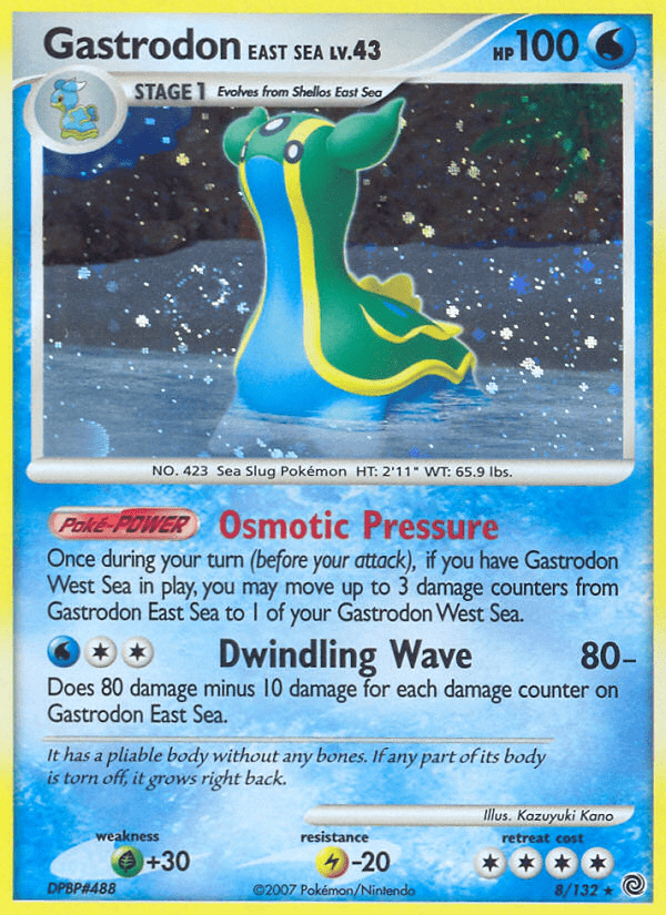 Gastrodon East Sea - 8