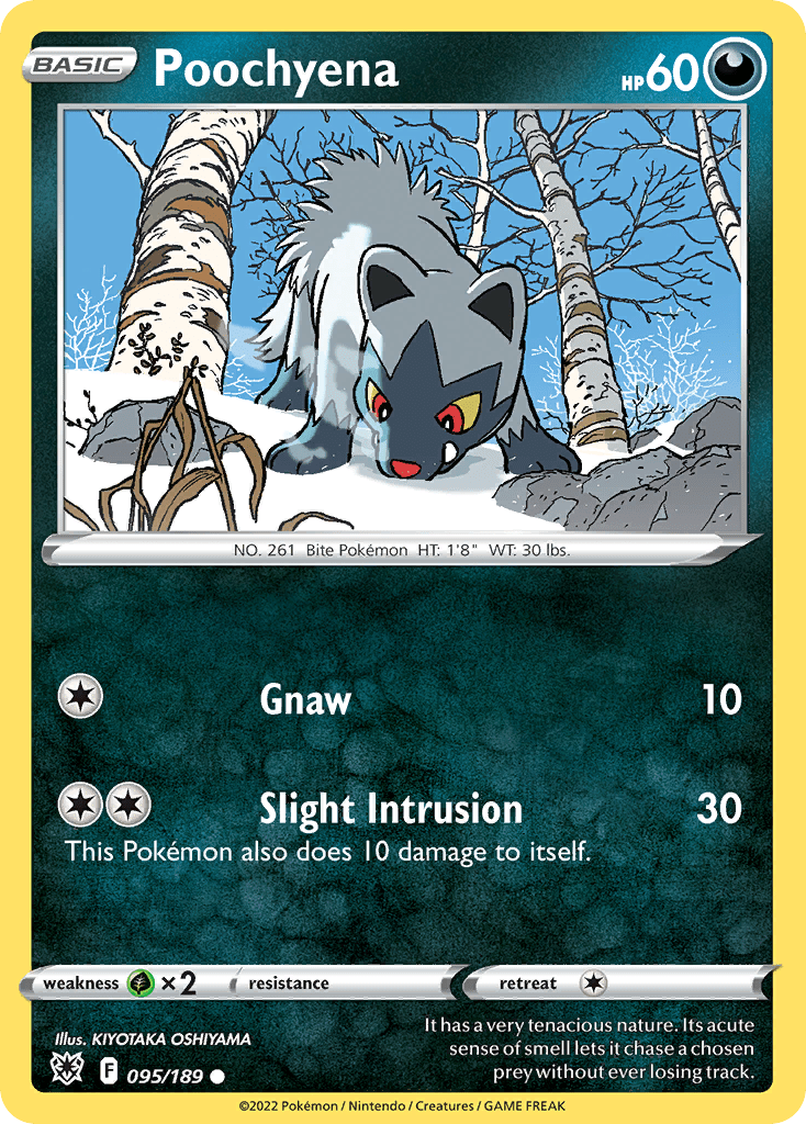Poochyena - 95