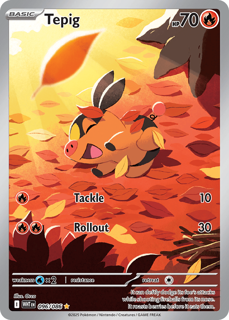 Tepig - 96