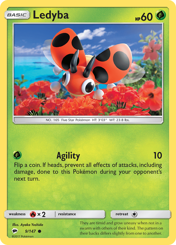 Ledyba - 9