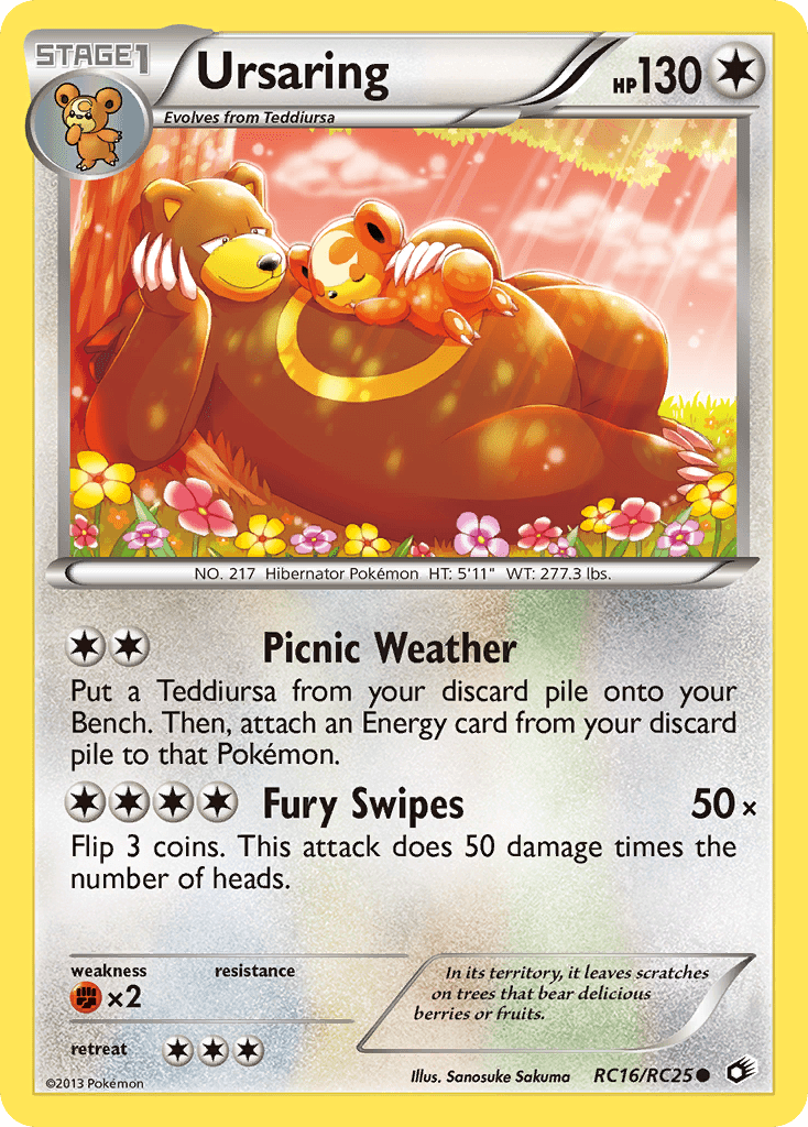 Ursaring - RC16