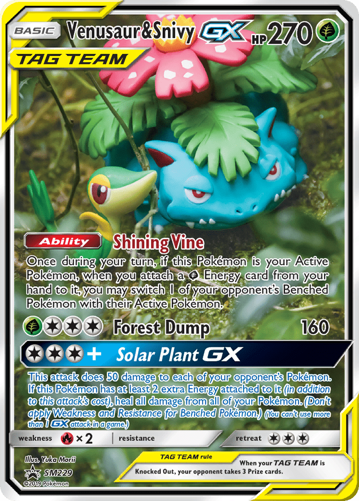 Venusaur & Snivy-GX - SM229